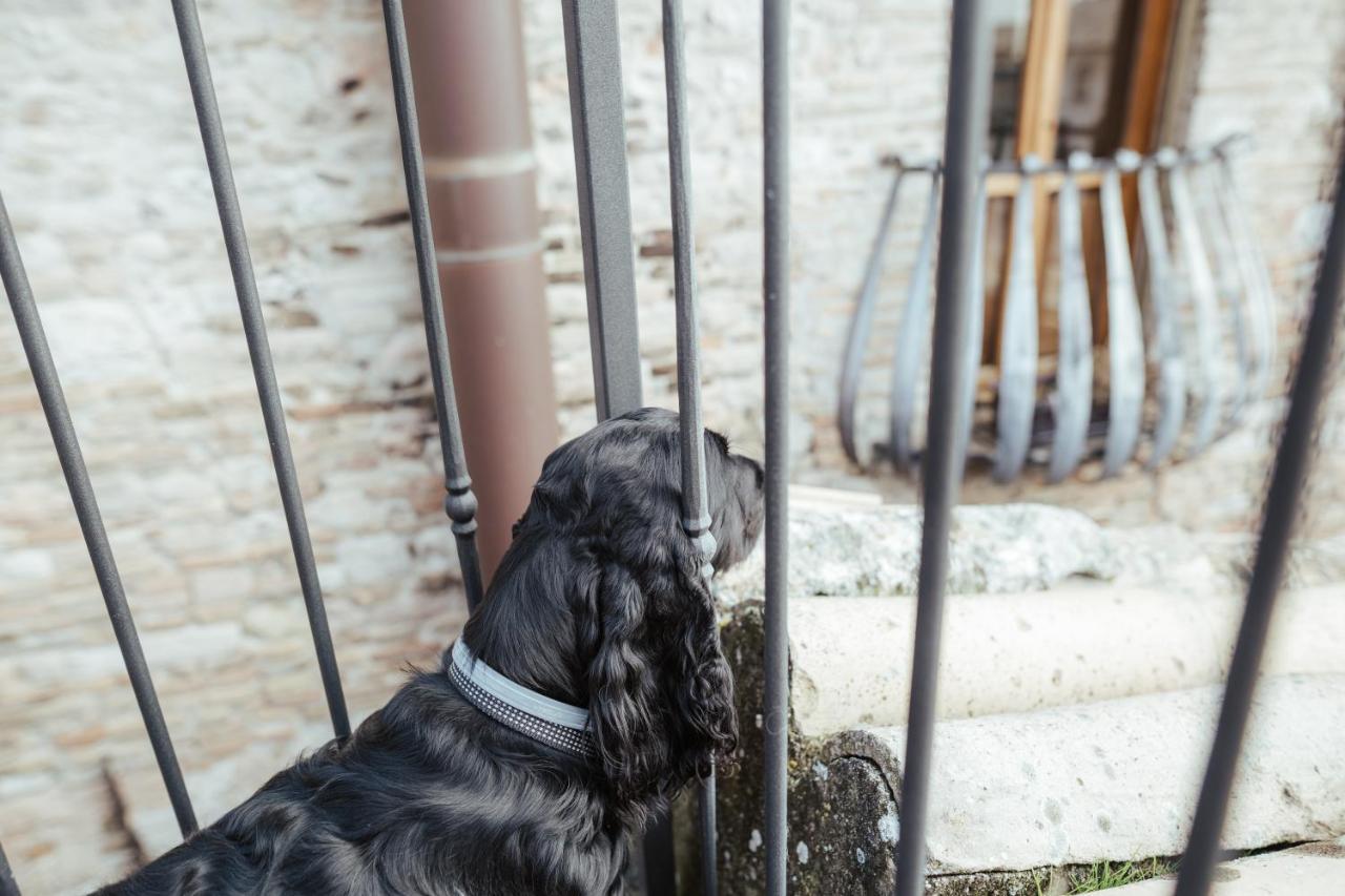 Chiama Ride The Beauty Assisi Apartment Exterior photo